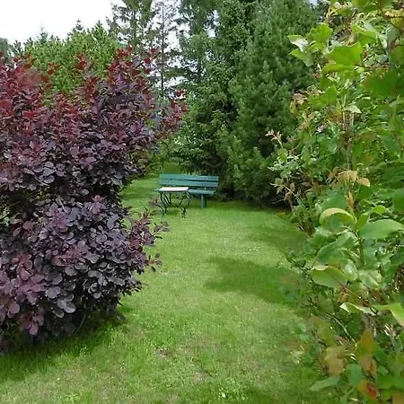 公寓 Ruegen_fewo 61